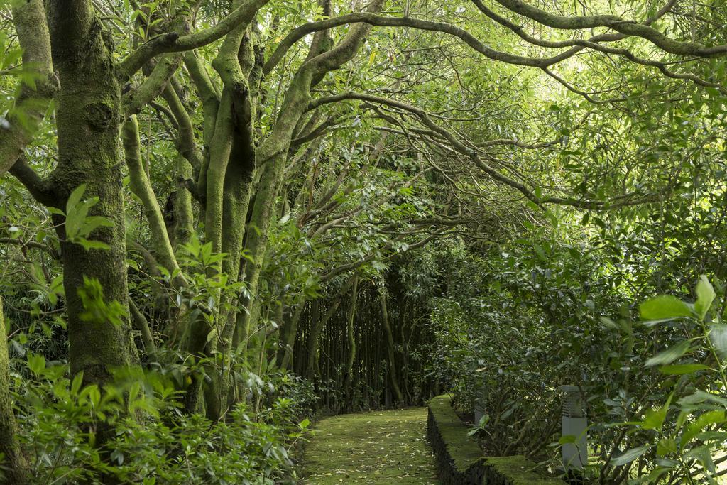 Гостевой дом Quinta Da Mo Фурнаш Экстерьер фото