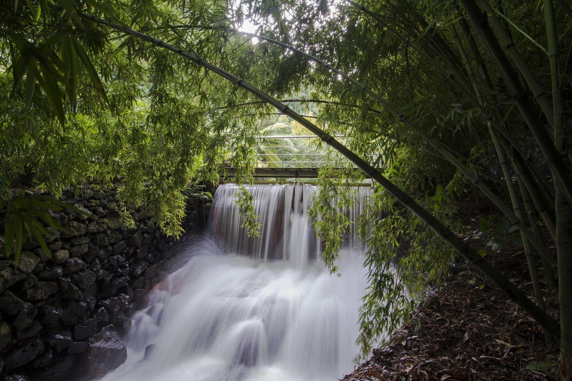 Гостевой дом Quinta Da Mo Фурнаш Экстерьер фото